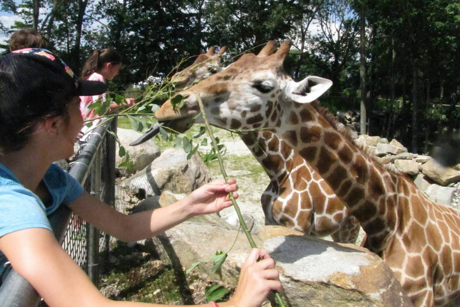 Animal Encounters | Southwick's Zoo