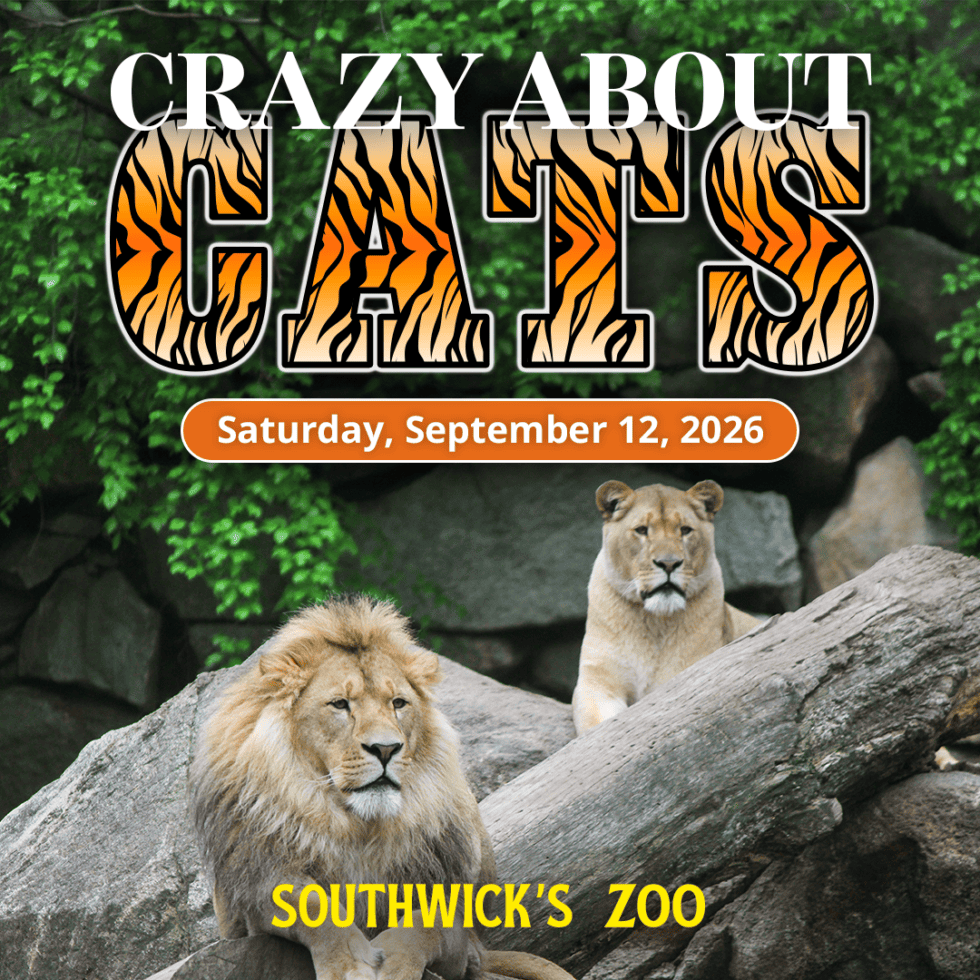 Crazy about Cats at Southwick's Zoo on September 13, 2026