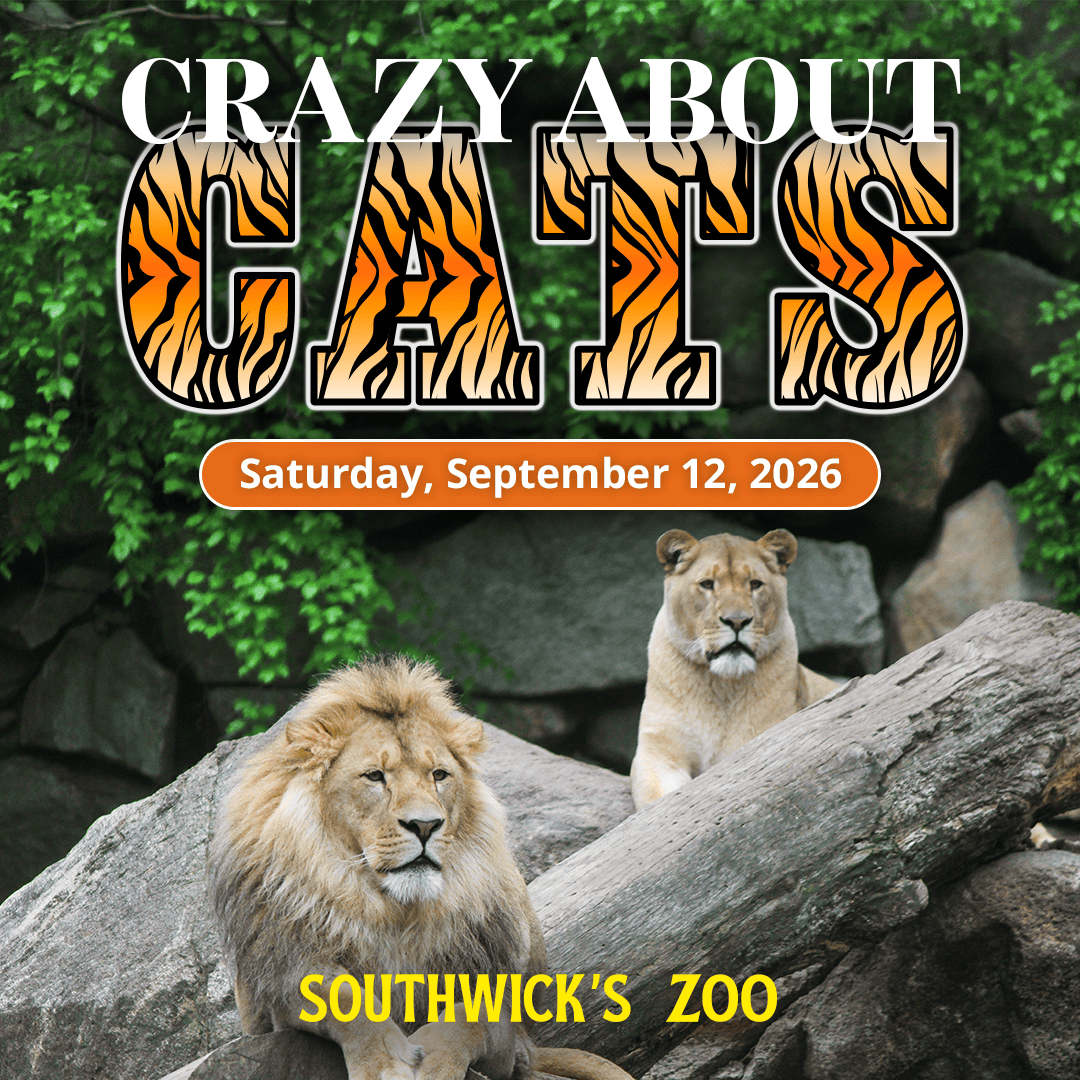 Crazy about Cats at Southwick's Zoo on September 13, 2026