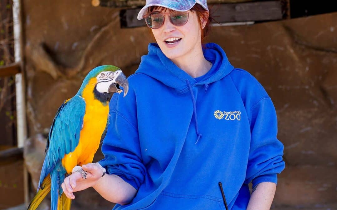 Southwick’s Zoo Welcomes Guests Back for the 2026 Season
