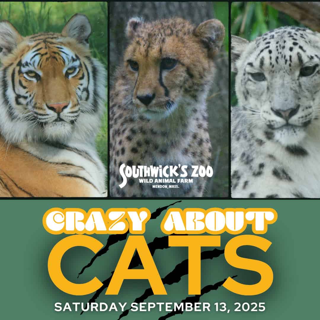 Events Graphics 2025 (1080 x 1080 px) (8)