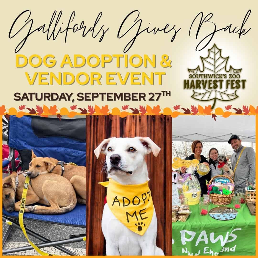 Events Graphics 2025 (1080 x 1080 px) (9)