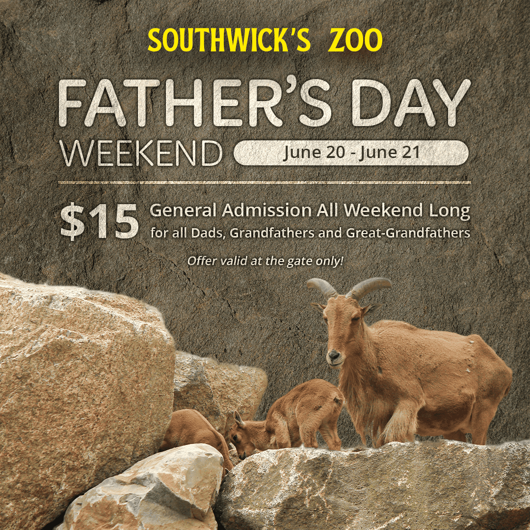 Father's Day Weekend at Southwick's Zoo, free admission for fathers, June 20 - 21