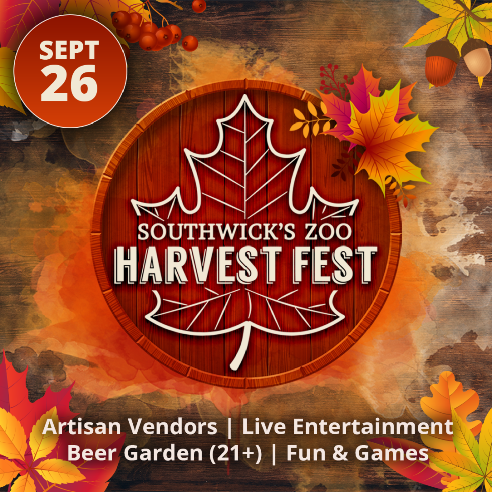 Harvest Fest at Southwick’s Zoo features artisan vendors, live music, games, and autumn family fun September 26.