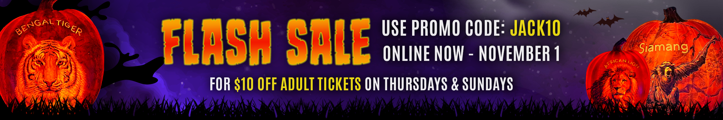 Flash Sale for The Great Jack O'Lantern Journey at Southwick's Zoo: Use promo code "Jack10" at checkout for $10 off adult admission on Thursdays and Sundays