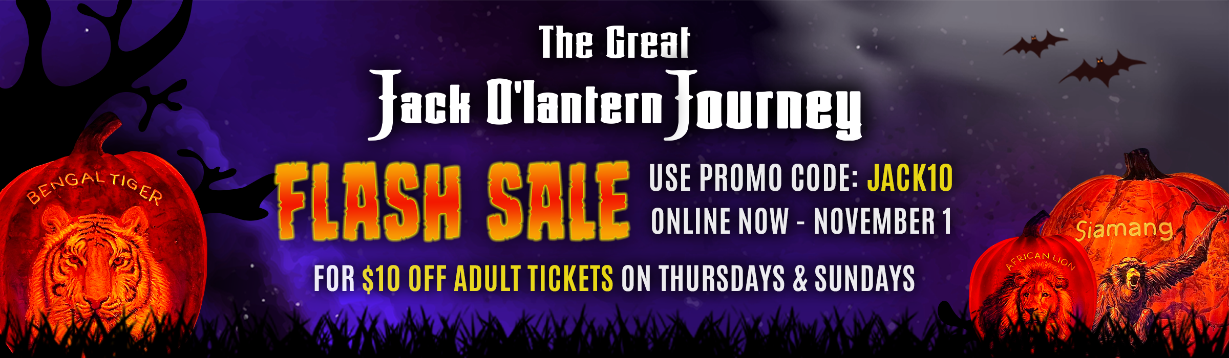 Flash Sale for The Great Jack O'Lantern Journey at Southwick's Zoo: Use promo code "Jack10" at checkout for $10 off adult admission on Thursdays and Sundays