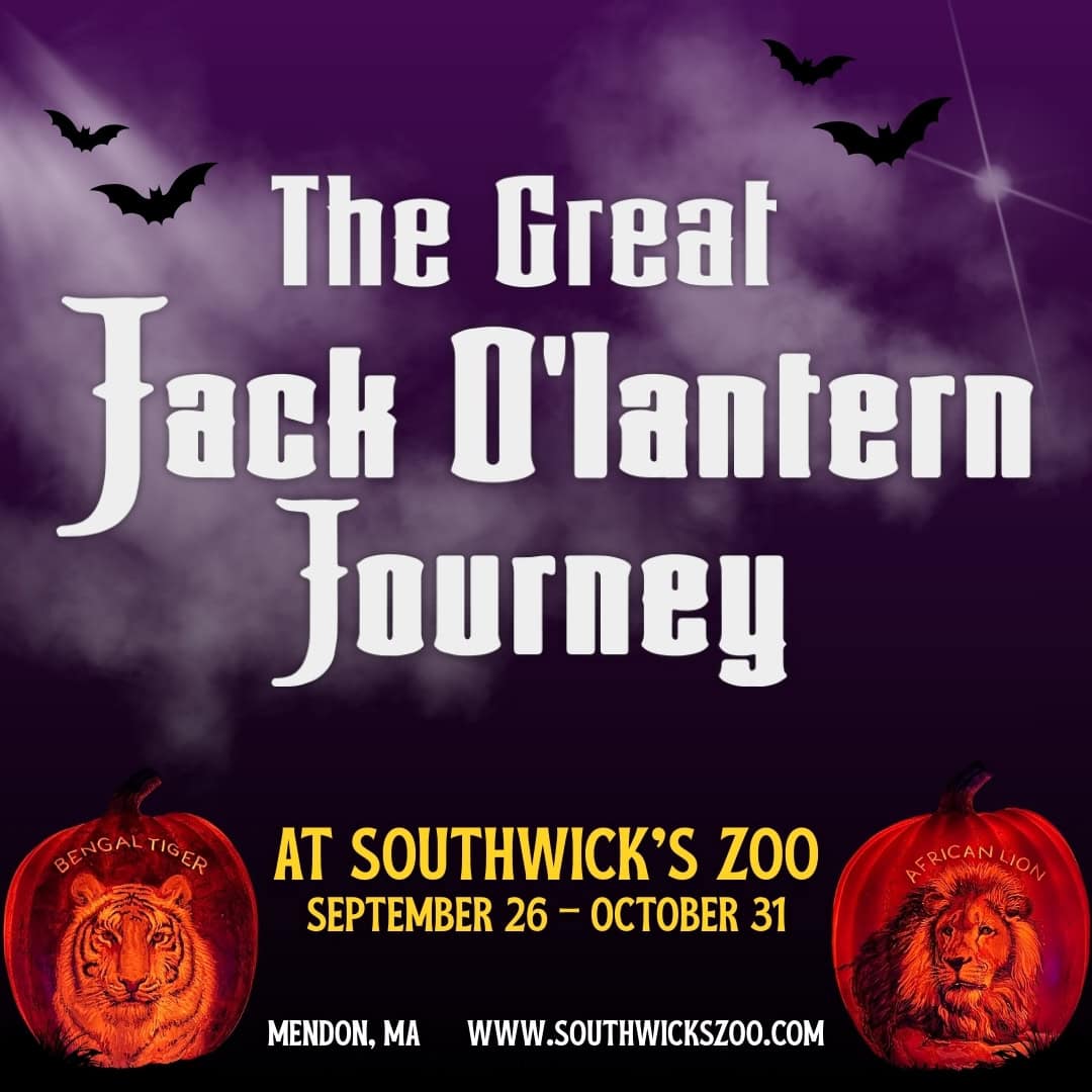 Jack o lantern journey (1080 x 1080 px) (1)