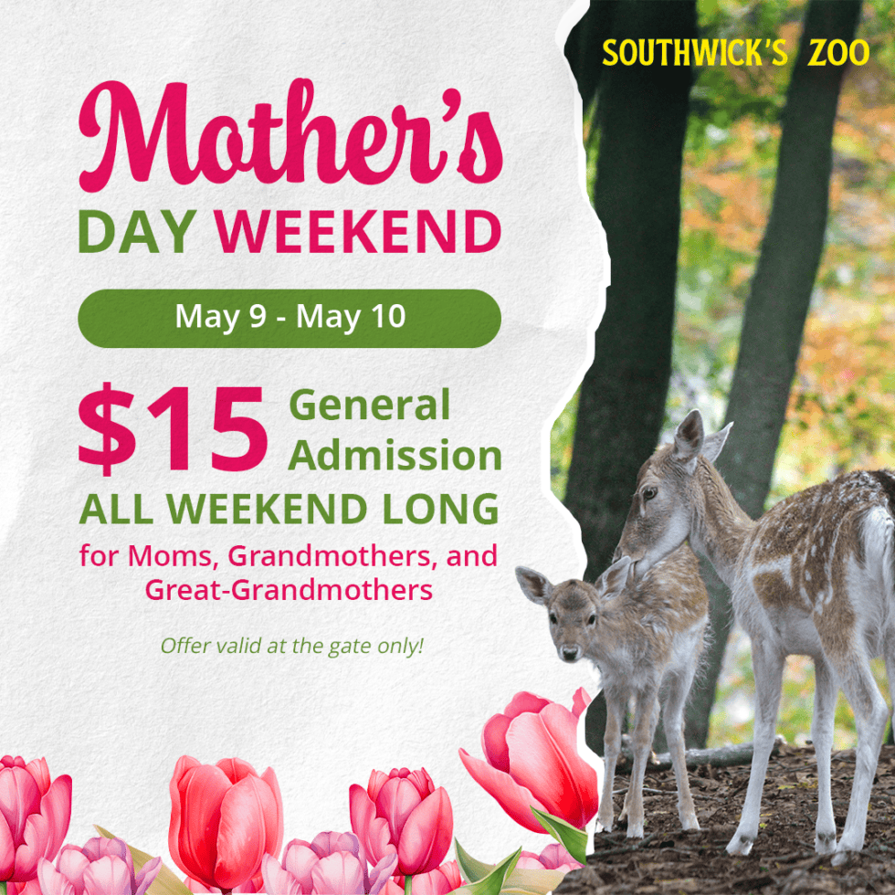 Mother's Day Weekend at Southwick's Zoo. $15 admission for mothers May 9 - 10