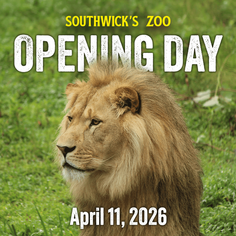 Opening Day at Southwick's Zoo is Saturday, April 11, 2026