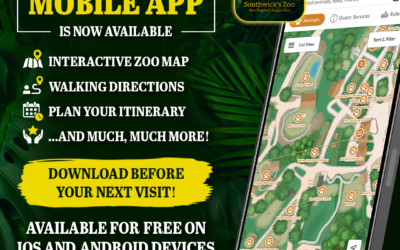 Southwick’s Zoo Launches New Mobile App to Enhance the Guest Experience