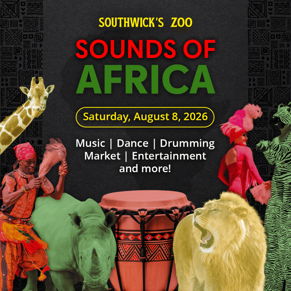 Sounds of Africa at Southwick's Zoo. A celebration of African culture on August 8, 2026
