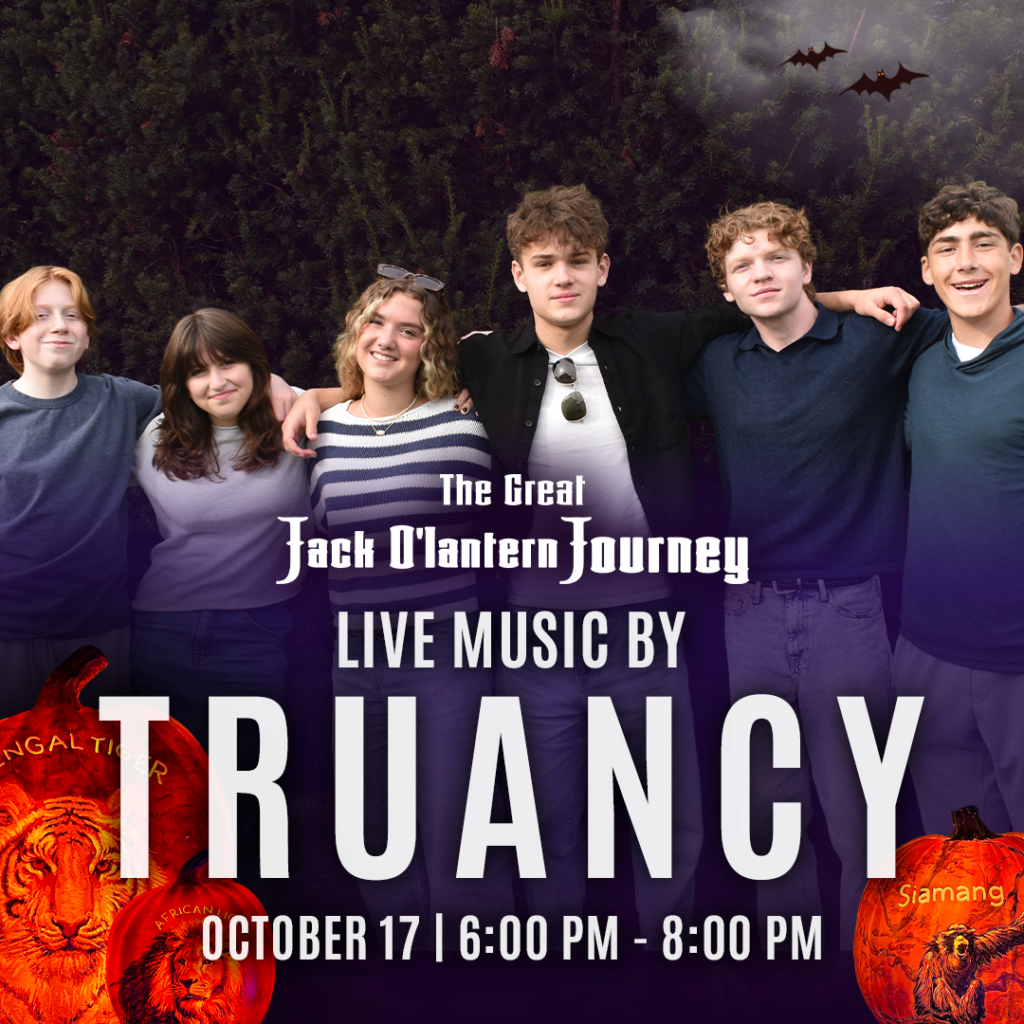 Catch live rock music and hits from the 80s and 90s by Truancy on October 17, from 6 to 8 PM at the Great Jack O’Lantern Journey at Southwick’s Zoo!