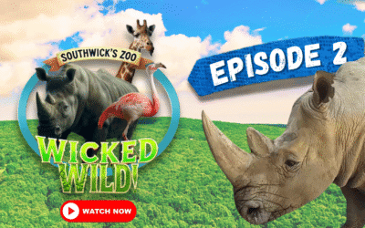 Episode 2: Creatures Great and Small (Wicked Wild: Inside New England’s Biggest Zoo)