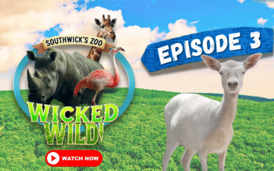 Episode 3: Stronger Together (Wicked Wild: Inside New England’s Biggest Zoo)