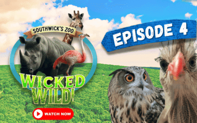 Episode 4: Birds of a Feather (Wicked Wild: Inside New England’s Biggest Zoo)