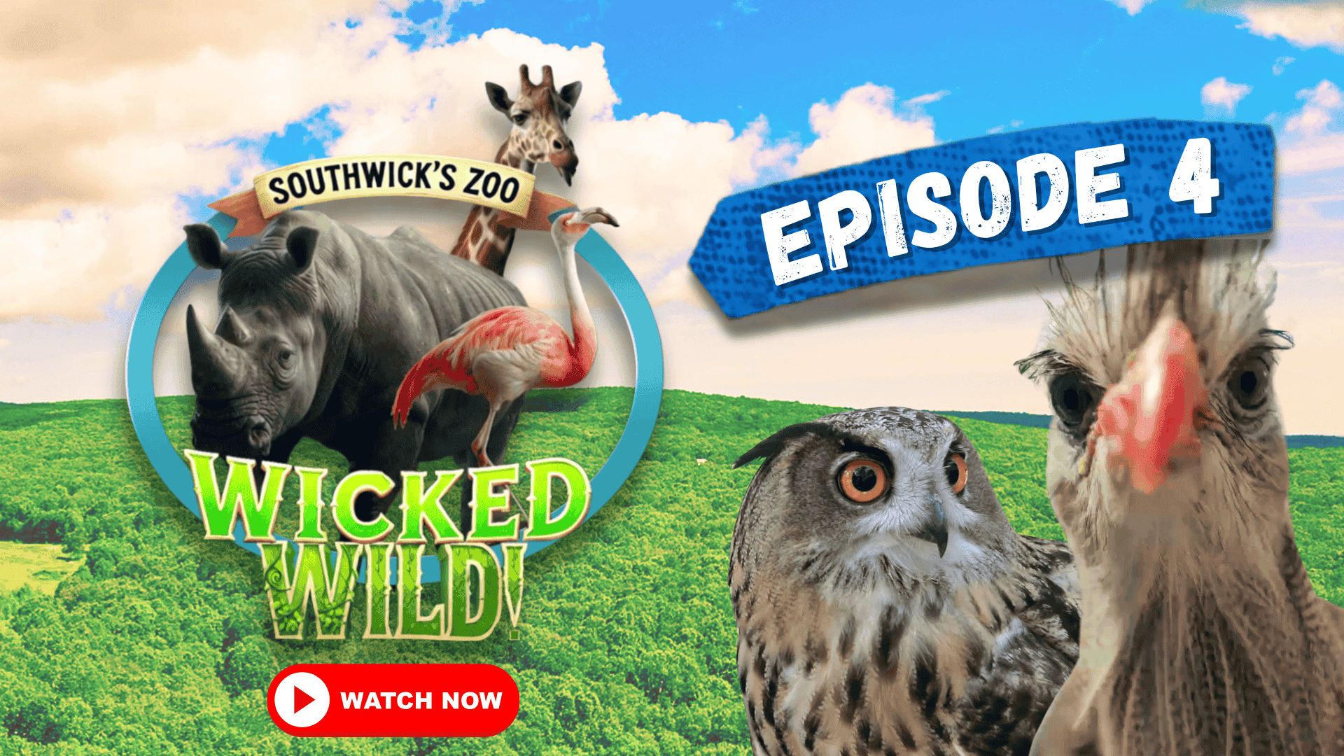 Episode 4: Birds of a Feather (Wicked Wild: Inside New England’s Biggest Zoo)