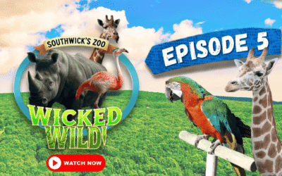 Episode 5: A Wild Proposal (Wicked Wild: Inside New England’s Biggest Zoo)