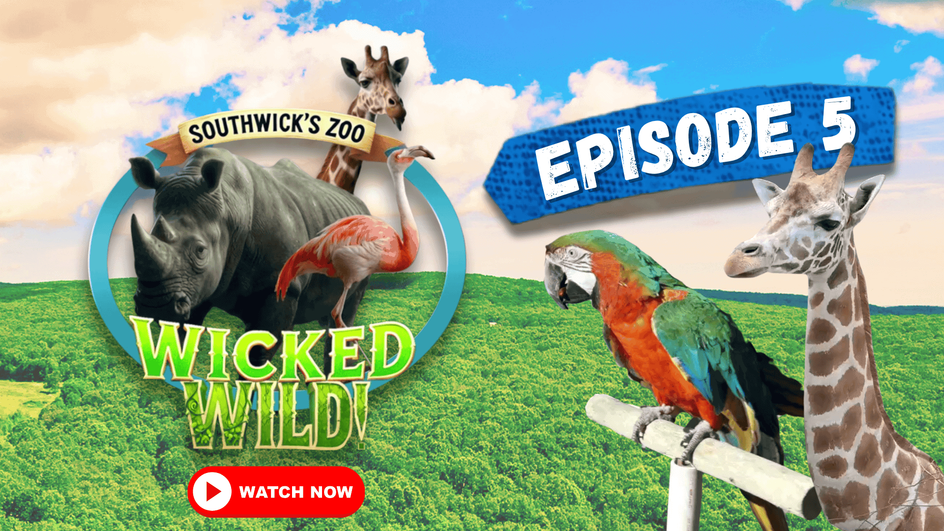Episode 5: A Wild Proposal (Wicked Wild: Inside New England’s Biggest Zoo)