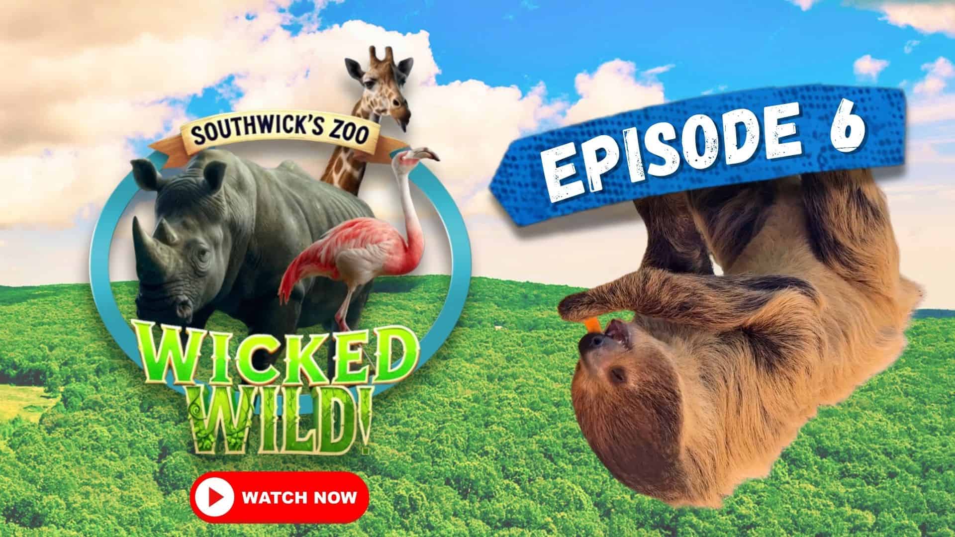 Episode 6: Wild Lessons (Wicked Wild: Inside New England’s Biggest Zoo)