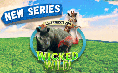 Season 1 Sizzle Reel (Wicked Wild: Inside New England’s Biggest Zoo)
