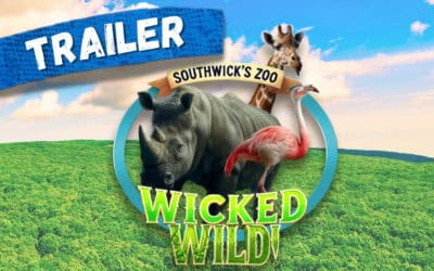 Season 1 Trailer (Wicked Wild: Inside New England’s Biggest Zoo)