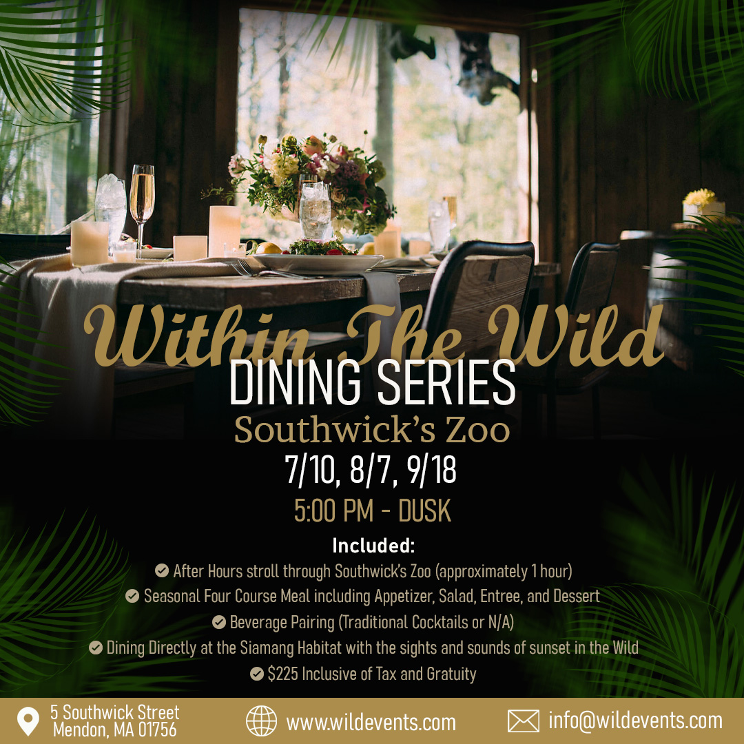 Within The Wild Dining Series 1080×1080 Within The Wild Dining Series on September 18th.