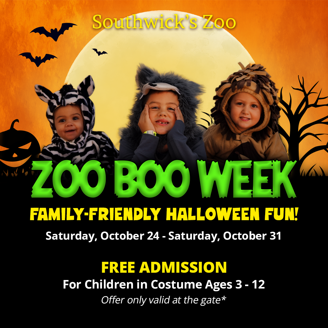 Kids ages 3-12 get in free if they come in costume during Zoo Boo Week at Southwick's Zoo, running October 24-31, 2026