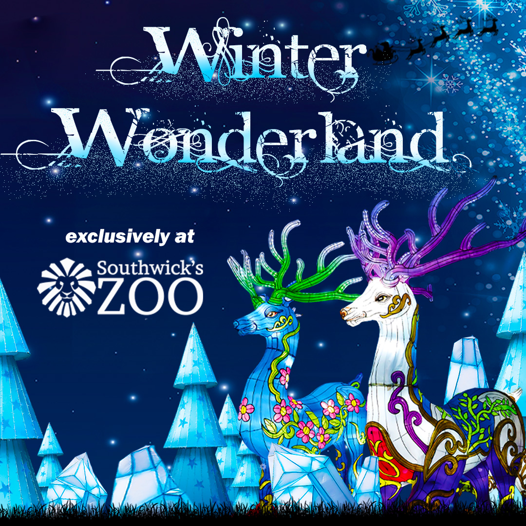 Winter Wonderland Southwick's Zoo