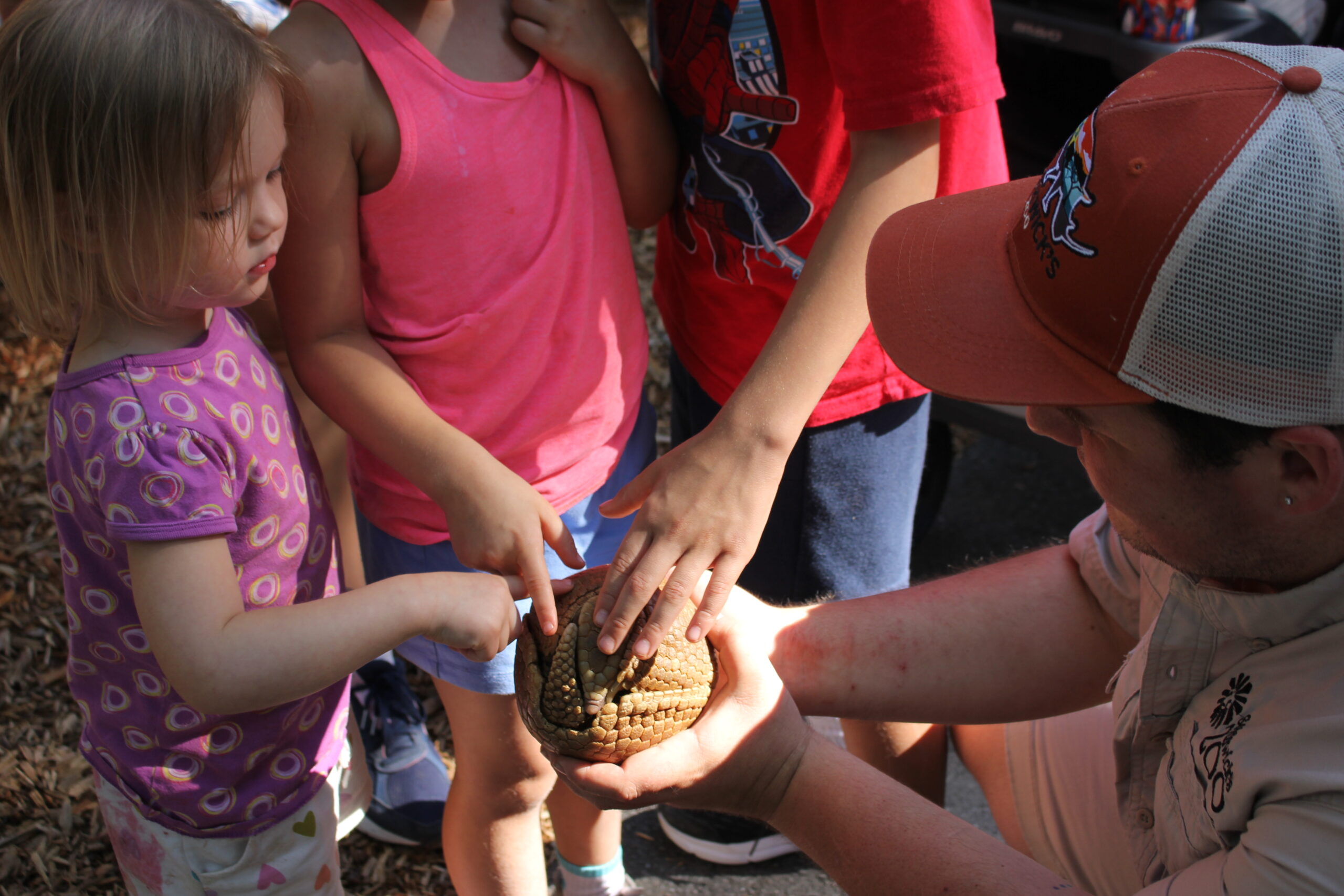 zoomobiles Derrick Silva showing the three band armadillo to a group of children on a ZooMobile trip.
